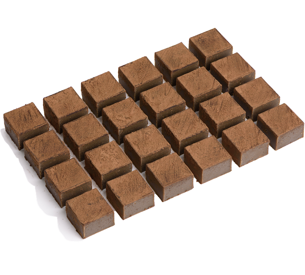 SQ24HOUJICHA.png